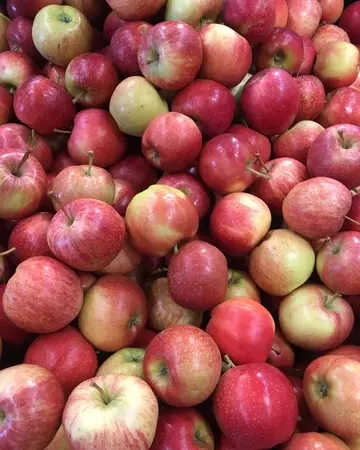 Fruits Côteaux de Haute Brune