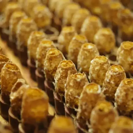 Produits de la ruche - Véronique Oudot