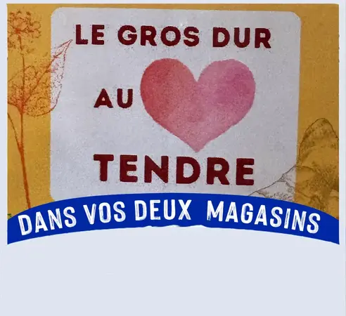 BioInspiration Biscuits