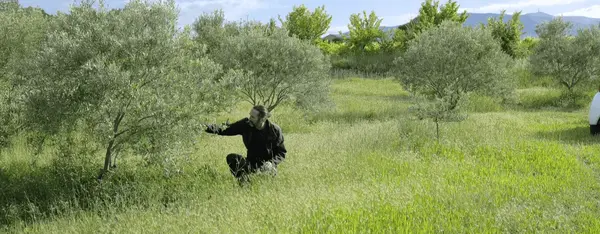 Carpentras : l'esprit sain de la bio Carpentras : l'esprit sain de la bio